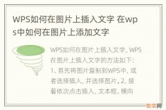 WPS如何在图片上插入文字 在wps中如何在图片上添加文字