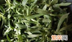 面条菜的种植时间 面条菜种植时间和方法