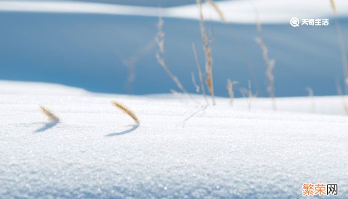 雪景句子唯美简短 赞美雪的简短句子