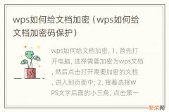 wps如何给文档加密码保护 wps如何给文档加密