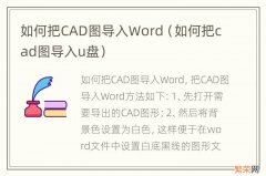 如何把cad图导入u盘 如何把CAD图导入Word