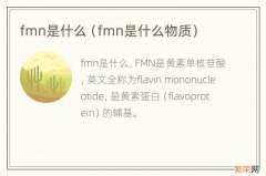 fmn是什么物质 fmn是什么