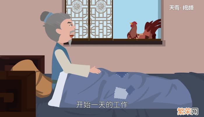 公鸡为什么打鸣 公鸡打鸣的原因