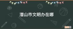 潜山市文明办在哪 潜山市文明办电话