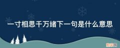 一寸相思千万绪下一句是什么意思 一寸相思千万绪的意思是什么