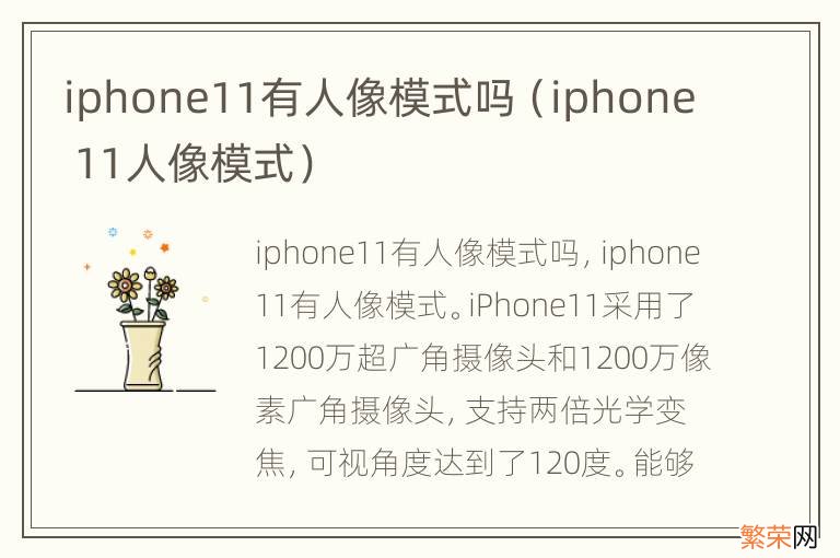 iphone 11人像模式 iphone11有人像模式吗