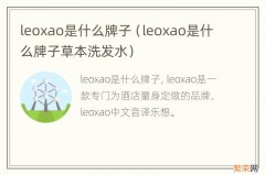 leoxao是什么牌子草本洗发水 leoxao是什么牌子