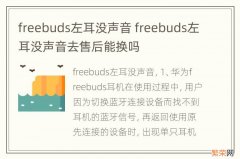 freebuds左耳没声音 freebuds左耳没声音去售后能换吗