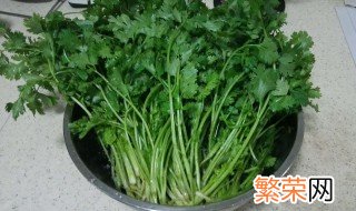 香菜怎么储存 香菜吃不完了可以怎么保存