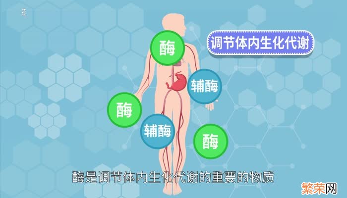 女人吃维生素e功效 女人吃维生素E的好处