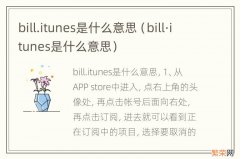 bill·itunes是什么意思 bill.itunes是什么意思