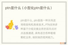 小型化ptn是什么 ptn是什么