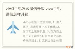 vIVO手机怎么微信升级 vivo手机微信怎样升级