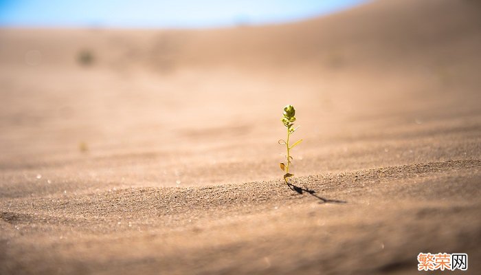 酒泉卫星发射中心在哪里 酒泉卫星发射中心在哪个省份