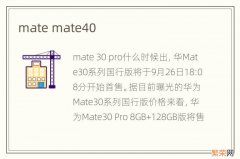 mate mate40