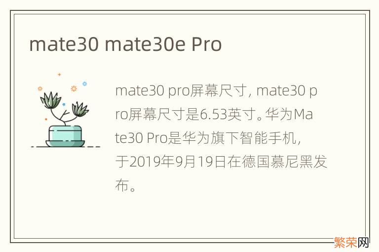 mate30 mate30e Pro