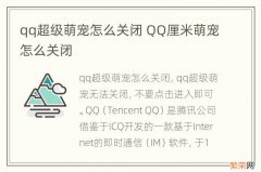 qq超级萌宠怎么关闭 QQ厘米萌宠怎么关闭