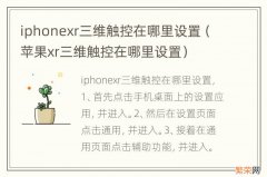 苹果xr三维触控在哪里设置 iphonexr三维触控在哪里设置