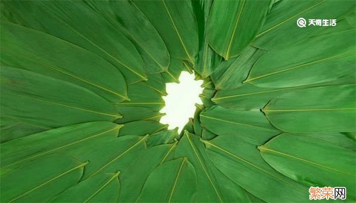 粽子叶煮多长时间好 粽子叶煮多长时间好用