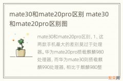 mate30和mate20pro区别 mate30和mate20pro区别图