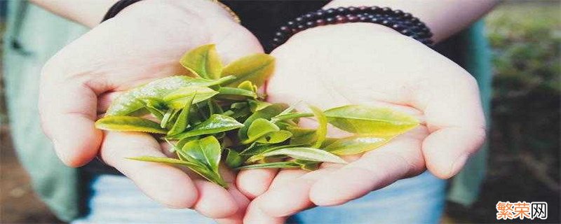 龙井茶是绿茶吗 龙井茶是什么茶