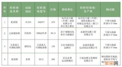 差点没被这牌子气吐血 那个牌子的旱冰鞋好