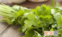 香菜冷库储存方法 香菜冷库储存方法是什么