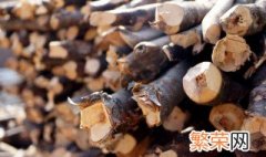 木头怎么处理光滑发亮 木头处理方法介绍