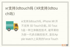 XR支持3dtouch吗 xr支持3dtouch吗