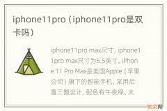 iphone11pro是双卡吗 iphone11pro