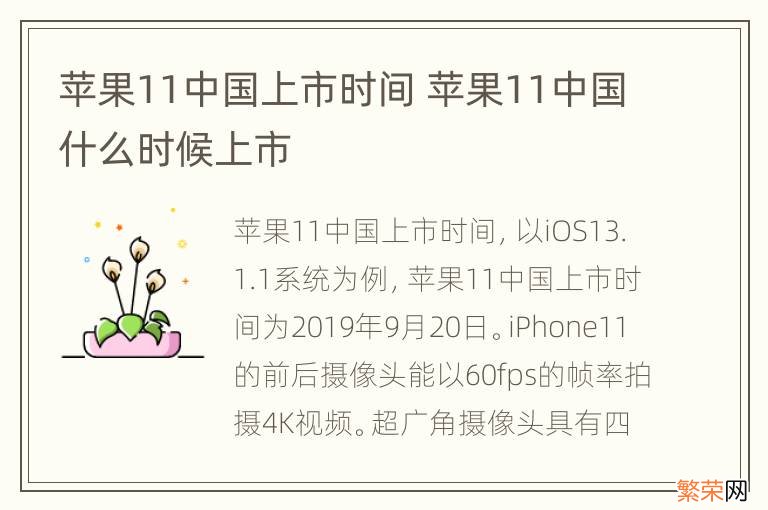 苹果11中国上市时间 苹果11中国什么时候上市