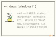 windows11 windows