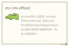 ms office ms