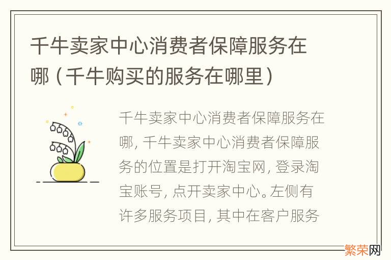 千牛购买的服务在哪里 千牛卖家中心消费者保障服务在哪