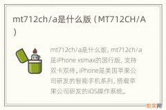 MT712CH/A mt712ch/a是什么版