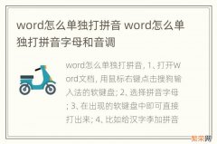 word怎么单独打拼音 word怎么单独打拼音字母和音调