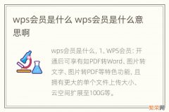 wps会员是什么 wps会员是什么意思啊