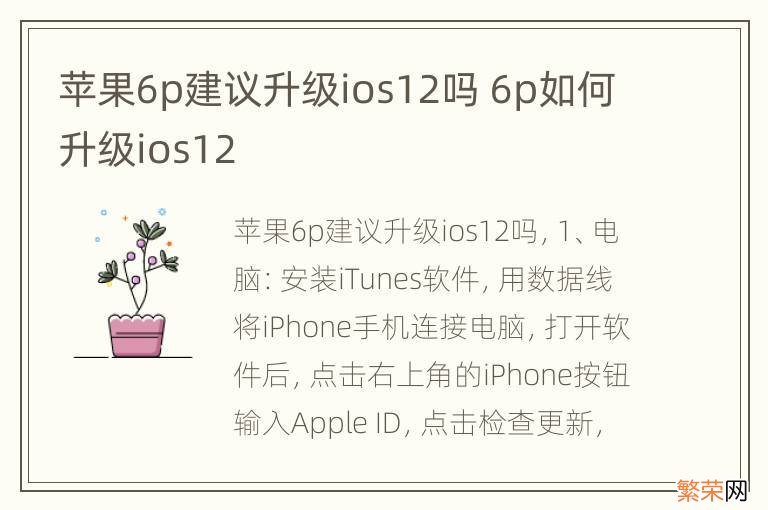 苹果6p建议升级ios12吗 6p如何升级ios12