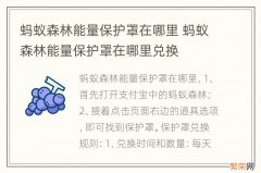 蚂蚁森林能量保护罩在哪里 蚂蚁森林能量保护罩在哪里兑换