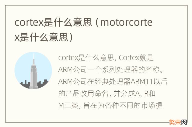 motorcortex是什么意思 cortex是什么意思