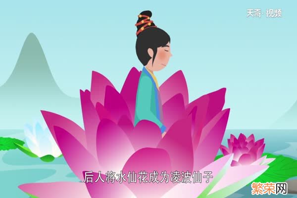 凌波仙子是什么花 凌波仙子被誉为什么