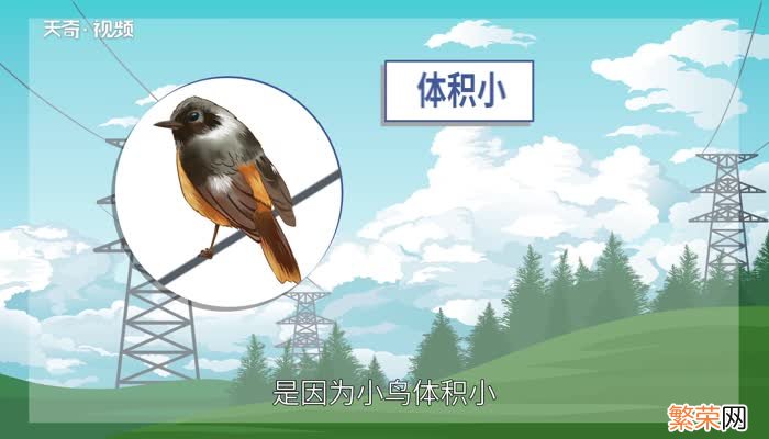 小鸟站着高压线上为什么不会被电死 小鸟站在高压线上为什么不会被电