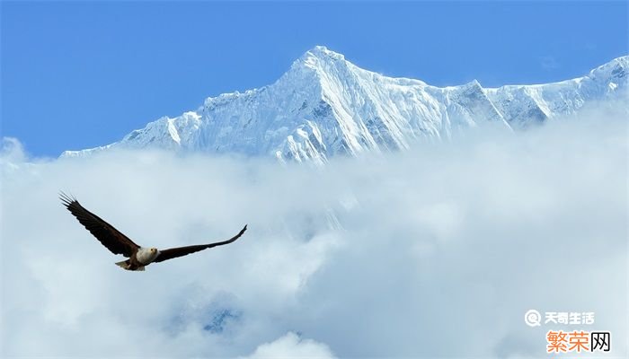 中国登山队第一次登上珠穆朗玛峰是哪一年 中国登山队第一次登上珠穆朗玛峰是什么时候