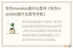 华为maraloo是什么型号手机 华为maraloo是什么型号