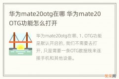 华为mate20otg在哪 华为mate20OTG功能怎么打开