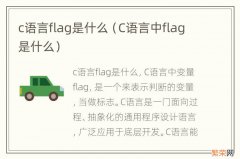 C语言中flag是什么 c语言flag是什么