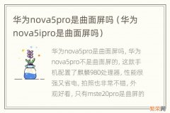 华为nova5ipro是曲面屏吗 华为nova5pro是曲面屏吗