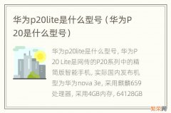 华为P20是什么型号 华为p20lite是什么型号