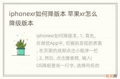 iphonexr如何降版本 苹果xr怎么降级版本