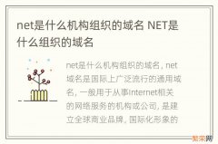 net是什么机构组织的域名 NET是什么组织的域名